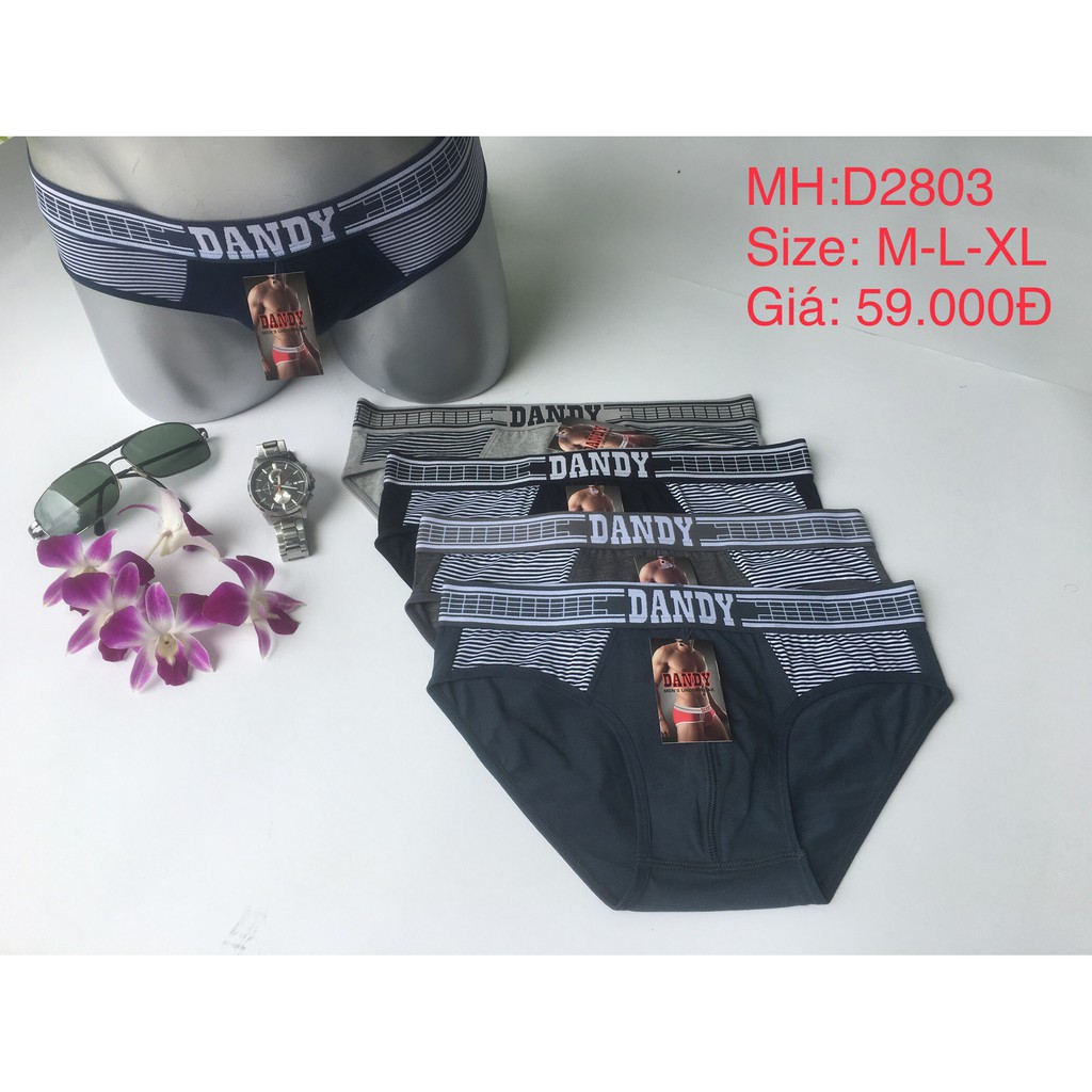 Quần lót DANDY mã D2803 - Caromkha