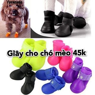 Giầy cho chó mèo