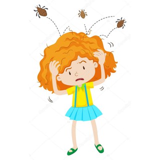 Newgi C Dầu gội trị chấy, trị chí ✅(Chính Hãng 100%)