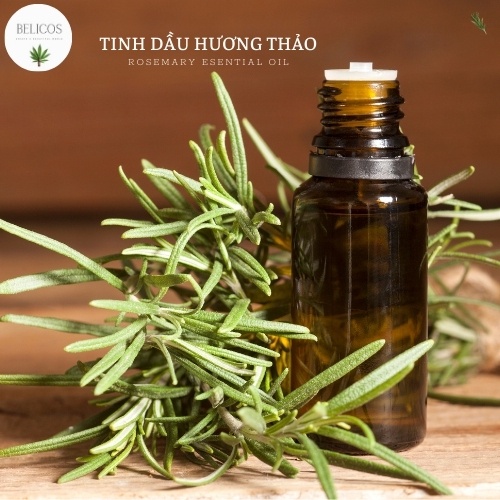 Tinh Dầu Hương Thảo Rosemary 50ML/100Ml - Tinh dầu thiên nhiên nguyên chất, tinh dầu làm nến thơm