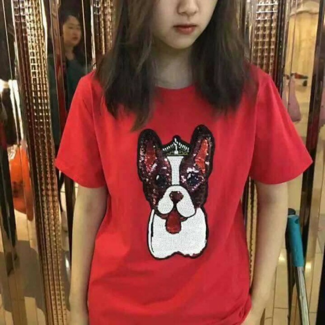 Combo Áo cho kim sa