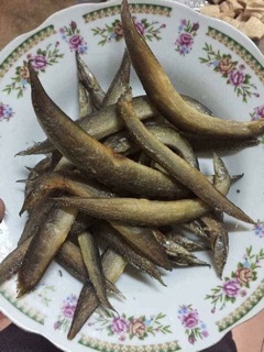Khô cá chạch 500g /230k