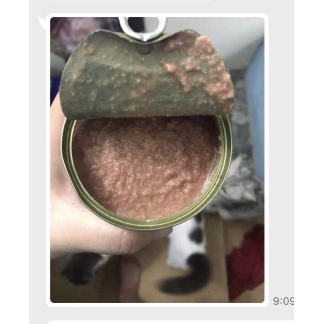 Pate không nhãn thùng 10 lon cá ngẫu nhiên
