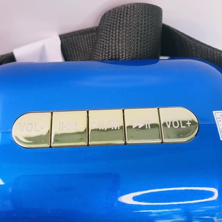 Loa Karaoke Bluetooth YS-A20