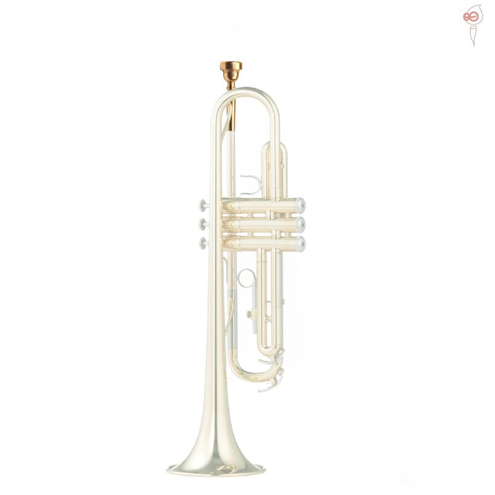 Ống Thổi Kèn Trumpet Mạ Vàng 7c