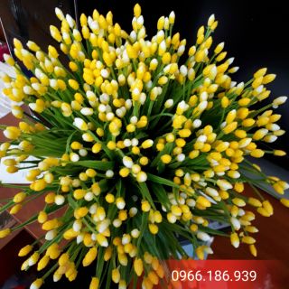 Combo phụ kiện và nguyên liệu hoa mai + hoa lan