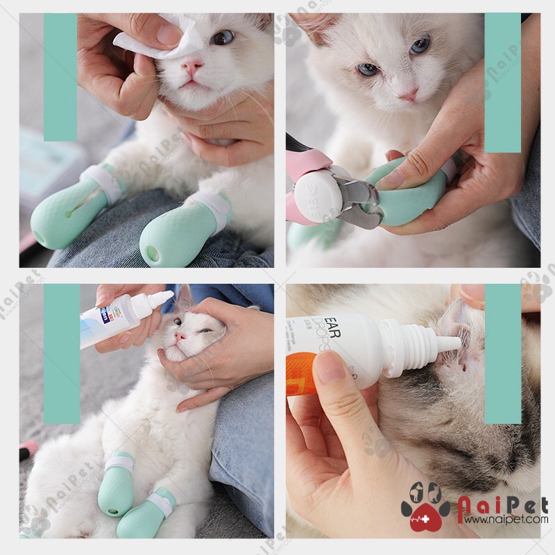 Set 4 Bao Đeo Chân Silicon Cho Mèo Chống Mèo Cào