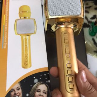 Micro Hát Karaoke kiêm loa Bluetooth SD16