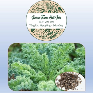 Hạt giống Cải Kale Mỹ Starbor - Tỷ lệ nảy mầm cao [Siêu Rẻ] (100 Hạt)