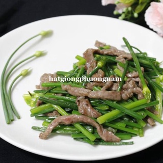 1GR - HẠT GIỐNG HẸ BÔNG