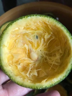 Máy vắt cam