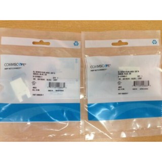 Nhân mạng cat6 âm tường Commscope AMP
