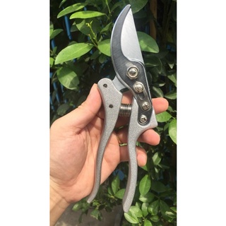 Kéo cắt cành Kapusi SK5