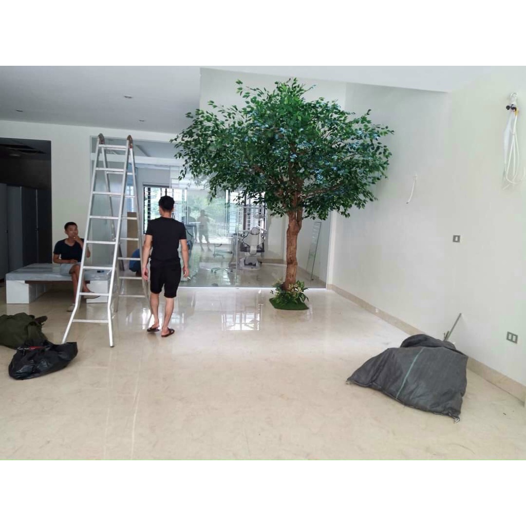 Lá si xanh (xanh viền trắng, si trắng)) trang trí cây giả decor, dài 60cm
