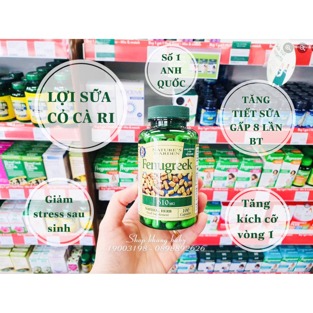 Viên uống lợi sữa cỏ cà ri Fenugreek 610MG hộp 100 viên - Shop Khang Baby