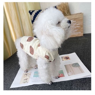 Áo 3 Lỗ Hình Gấu Nâu Cho Chó Mèo - Quần áo thú cưng  TuKeNoiThat.com