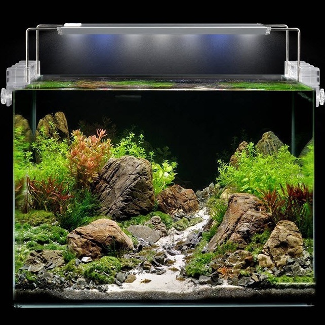 Đèn Led Aquablue LED-100 - Đèn Chuyên Dụng Thủy Sinh Led Aquarium Light