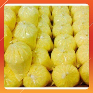 Combo tinh bột nghệ và chổi cọ đắp mặt nạ