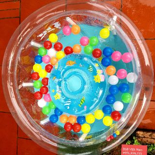 Bể Bơi Thành Cao Doctor Dolphin Cỡ Lớn 80*80