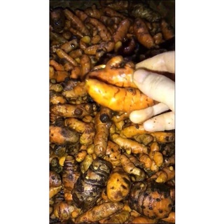 Tinh bột nghệ 1kg