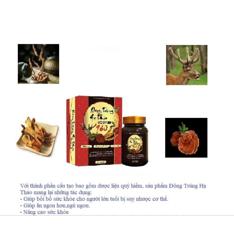 Đông Trùng Hạ Thảo codyceps 960