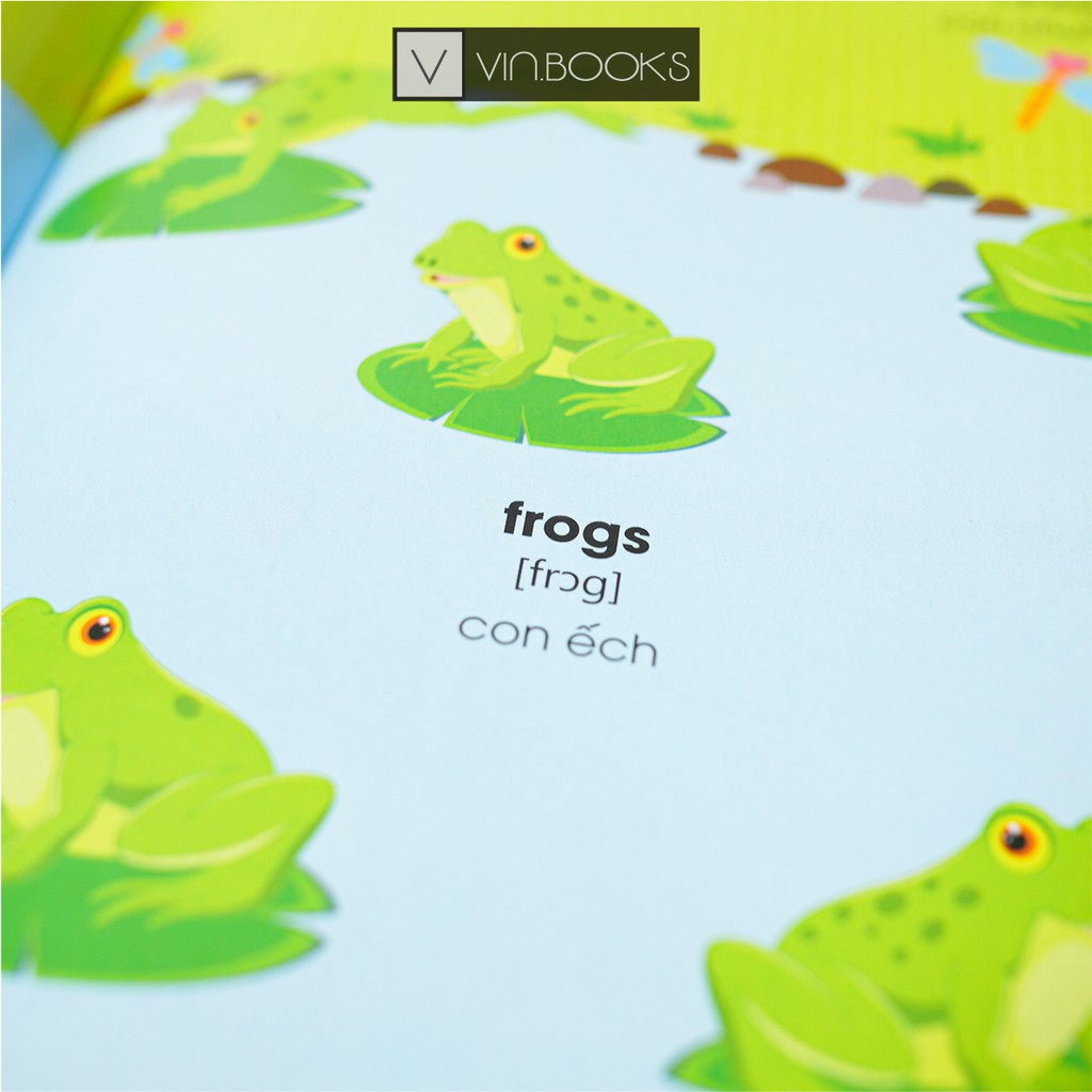 Sách My First Counting Adventure Cuộc Phiêu Lưu Với Số Đếm Phiên Bản Âm Thanh