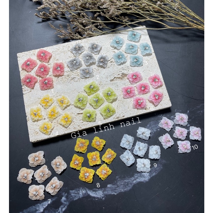 Hoa bột nail | Hoa chân