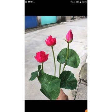 Cụm hoa sen nhí hoa giả trang nhã tuyệt đẹp, hoa lụa trang trí phòng khách, bàn lễ