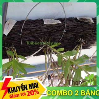2 Bảng dớn trồng lan kích thước 60x20x4cm - GT20.1
