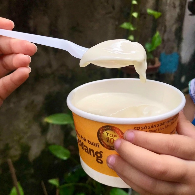 10 hủ Đậu hũ tươi Cô Vang đặc sản