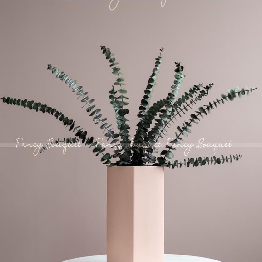 [CÓ QUÀ TẶNG] Cành Lá Khuynh Diệp Khô Eucalyptus, hoa trang trí phòng khách decor vintage - Hoa Khô HuHa