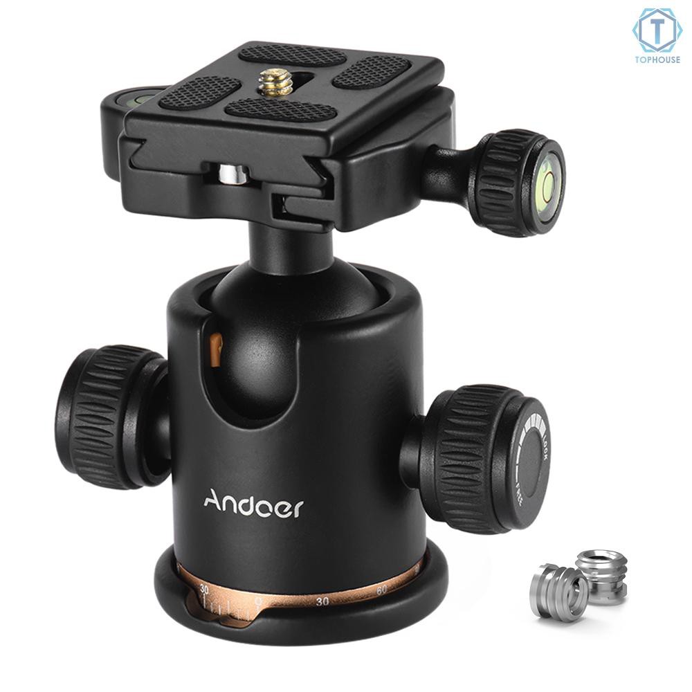 Đầu tròn gắn camera trên giá đỡ tripod có tấm tháo rời nhanh ốc 1/4 inch