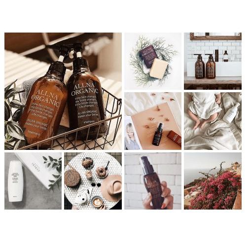 Dầu gội hữu cơ Allna Organnic Collagen Hyaluronic Acid Vitamin /hương hoa oải hương, hoa Calendula/dòng Smooth