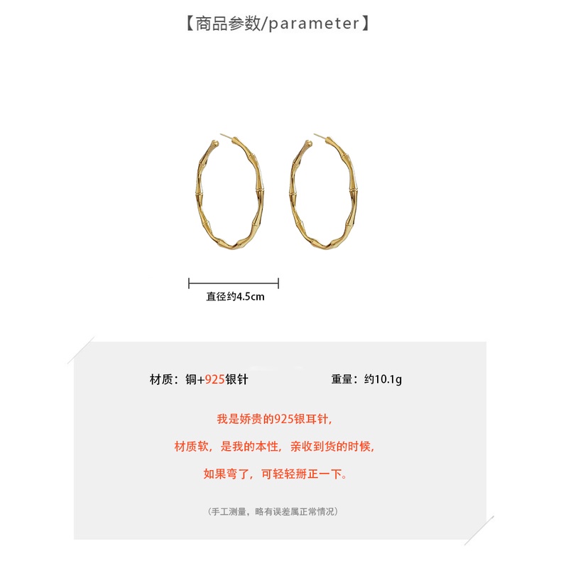 Khuyên tai kim loại hình ghim cài lớn đơn giản cá tính phong cách Hong Kong