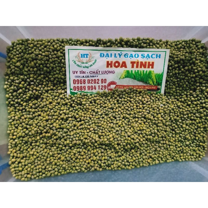Đỗ xanh làm giá đỗ