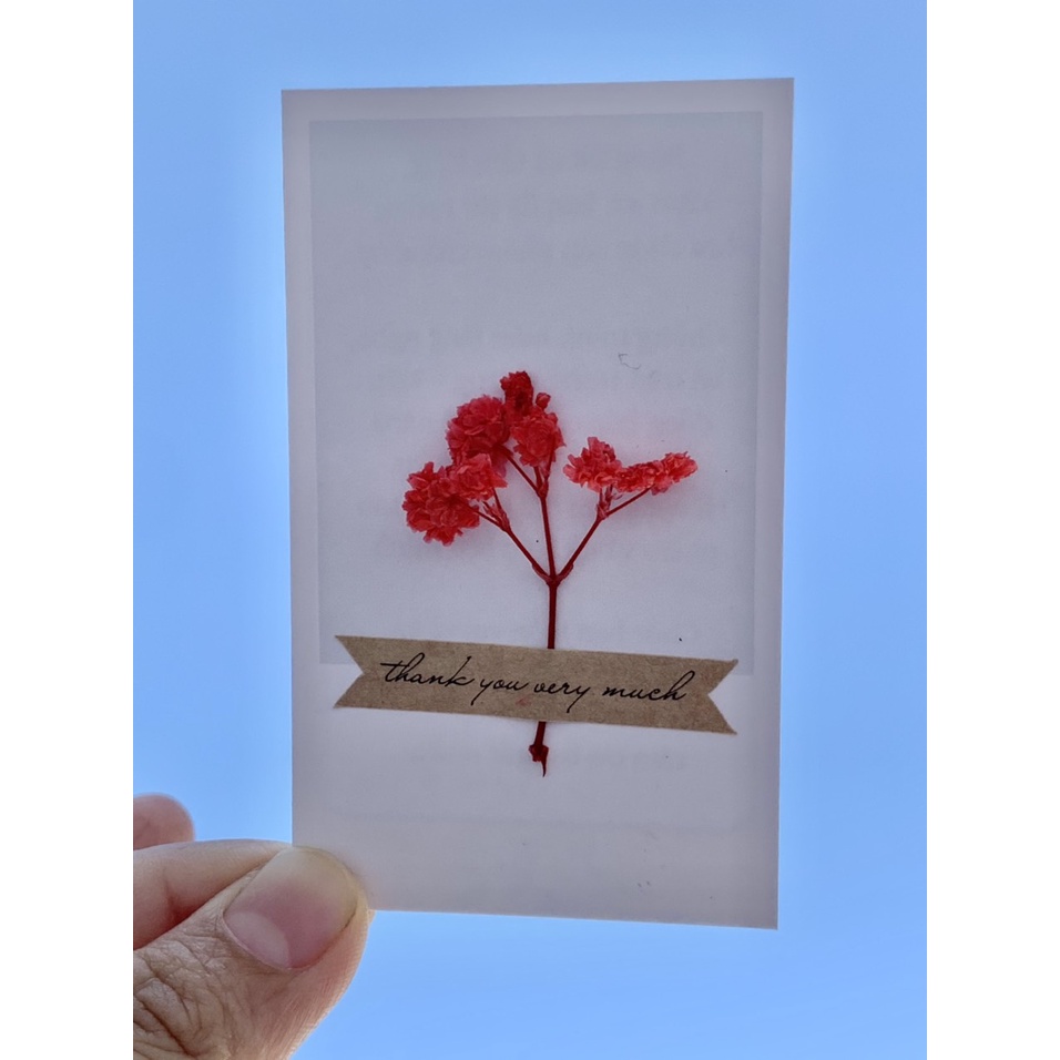 50 Thiệp, card cảm ơn HOA KHÔ, HOA THẬT
