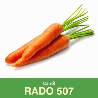 Hạt Giống Cà Rốt Dễ Trồng 5Gram