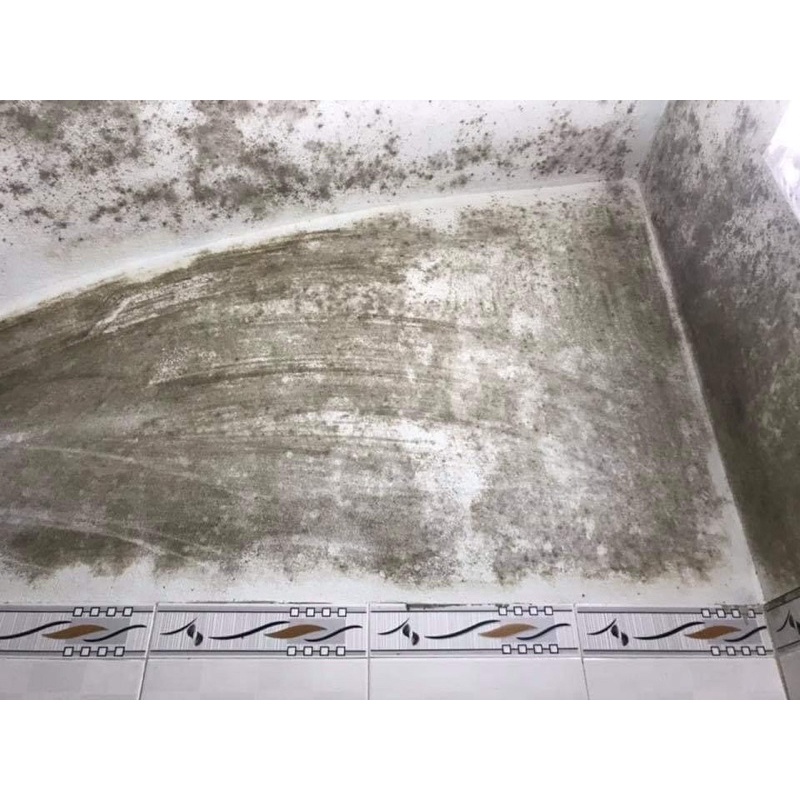 (CHÍNH HÃNG) Chất tẩy mốc TM-01- tẩy mốc trên mọi vật liệu như tường, gỗ, vải, cao su hiệu quả, nhanh chóng