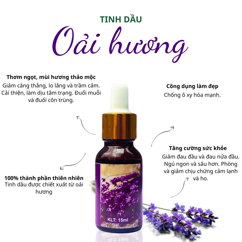 Tinh Dầu Oải Hương Nguyên Chất Chiết Xuất Từ Thiên Nhiên Dung Tích 10ml Thơm Phòng Toả Hương Đuổi Muỗi Và Khử Khuẩn