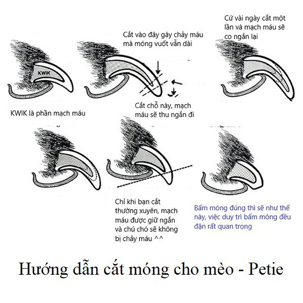 Kìm Cắt Móng, Kìm Bấm Móng Dành Cho Chó Mèo Pet Thú Cưng