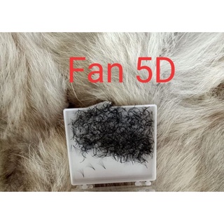 Mi fan mix 5d C Cc D( 9 den 13m)