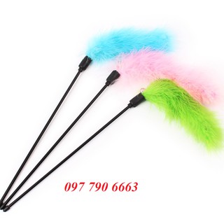 Cần câu đồ chơi cho mèo