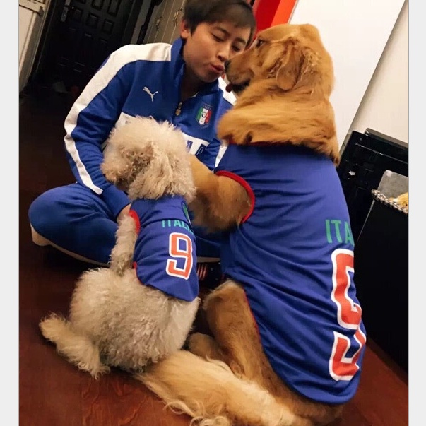 Đồng phục bóng rổ ngắn tay áo vest World Cup Teddy mùa xuân và hè hai chân bốn chó to lông vàng săn quần cho