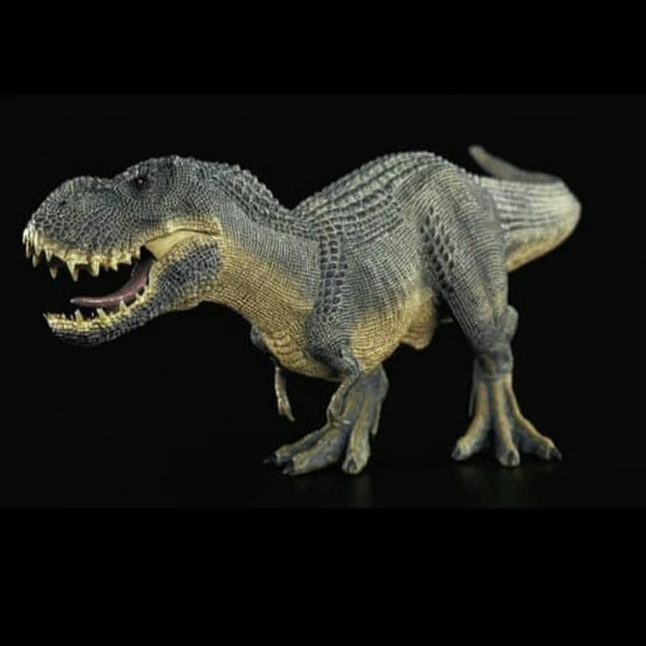 Mô Hình Siêu Khủng Long Bạo Chúa TYRANNOSAURUS REX