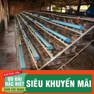 COMBO 2 CHUỒNG NUÔI CÚT KÈM MÁNG ĂN-LỒNG NUÔI CÚT ĐẺ-CHUỒNG NUÔI CÚT CÔNG NGHIỆP