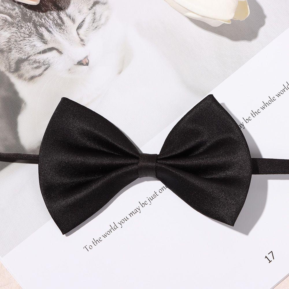 Vòng Cổ Thú Cưng Nhiều Màu Dễ Thương