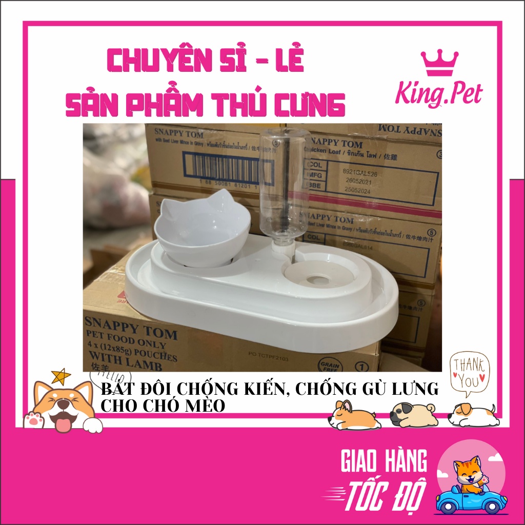 BÁT ĐÔI CHỐNG KIẾN, CHỐNG GÙ LƯNG CHO CHÓ MÈO