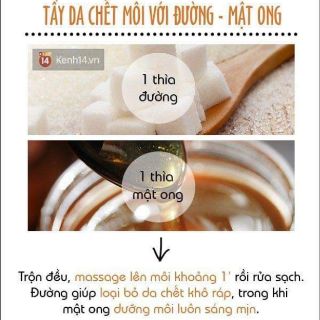 SON DƯỠNG GẤC TRẦN MAO