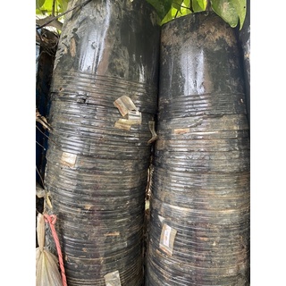 (Pass) COMBO 05 CHẬU NHỰA ĐEN CŨ KO LỖ (đk 33cm)
