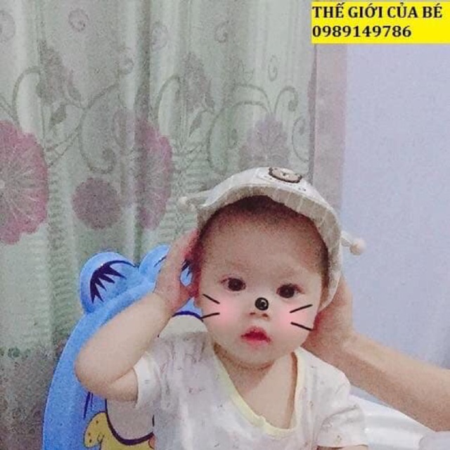 Ghế ăn dặm mèo.